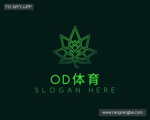 了解OD体育